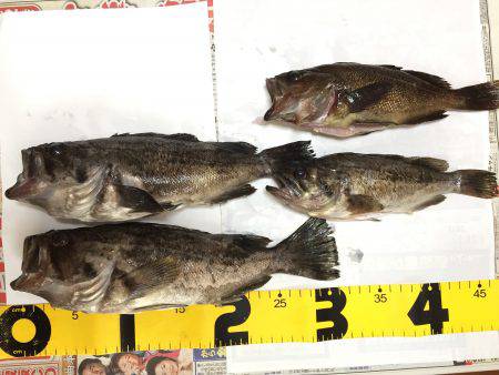 旅行フィッシング