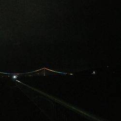 ケンサキイカが釣りたくて…