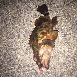 四日市港メバリング