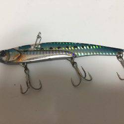 青物狙いだったが…