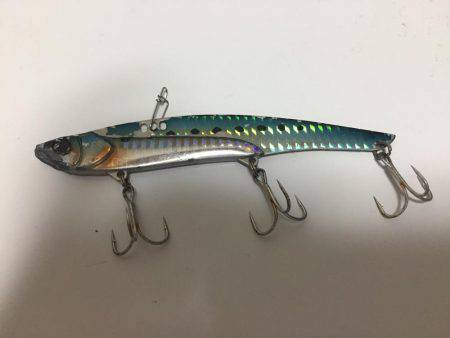 青物狙いだったが…