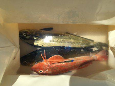 唐尾漁港沖合で