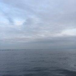 ショアジギング