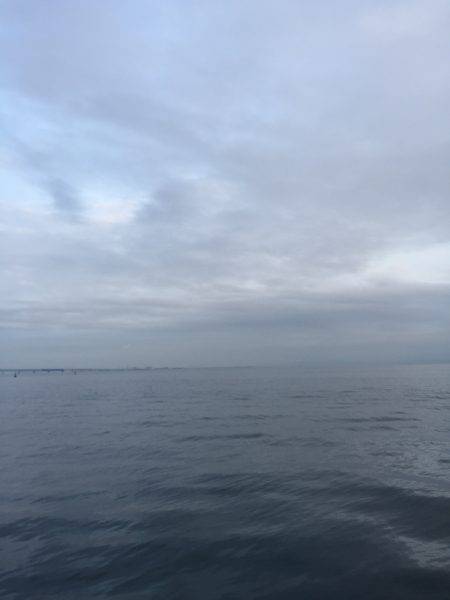 ショアジギング