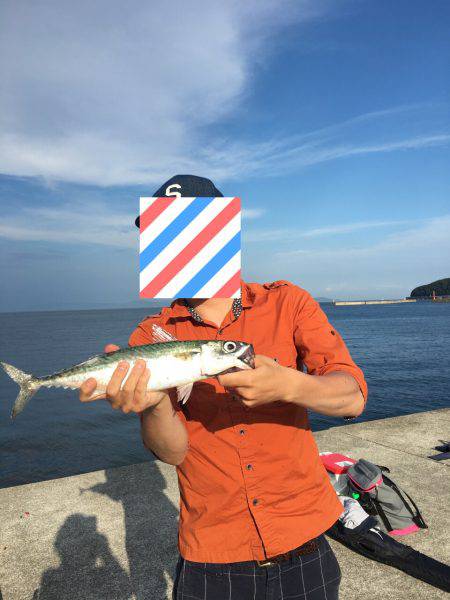 炬口漁港で42センチ大サバ