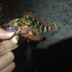 台風後の釣行〜