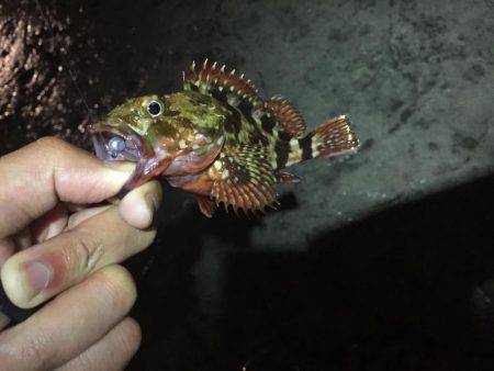 台風後の釣行〜