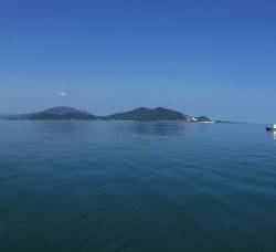 小浜でのイカダ釣り