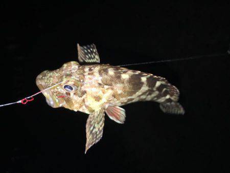 外道王 崇之 （￣+ー￣）ふっ