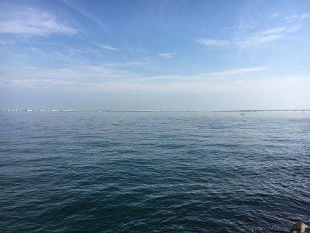 いつまでツバスいるのかな