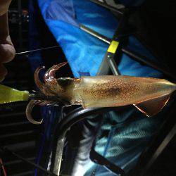 夏休み初釣行！