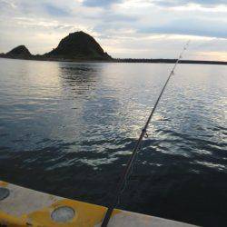 今年初の太刀魚です・・・