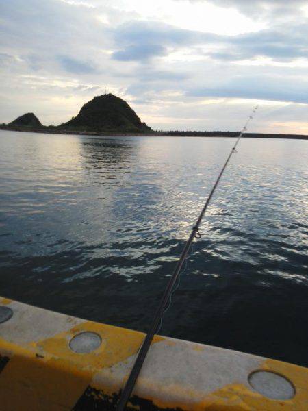 今年初の太刀魚です・・・