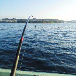 フカセ釣り・・・カッオ・サバ・イサキ・・