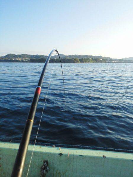 フカセ釣り・・・カッオ・サバ・イサキ・・