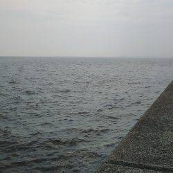 真夏の決闘～カサゴ編～