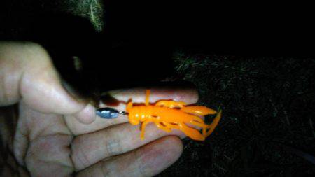 コンビナート湾奥