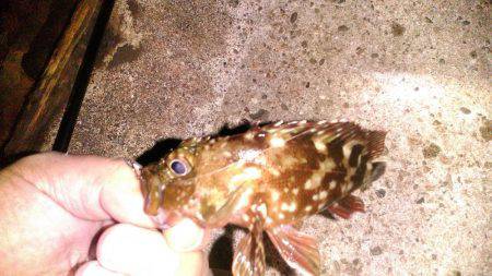 そろそろ終わりメバリング