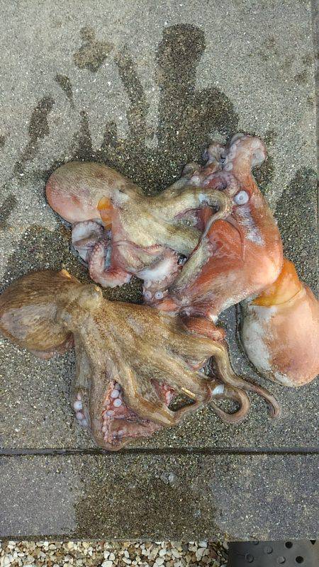 ぼくの夏休みパート2