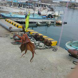 ぼくの夏休みパート3