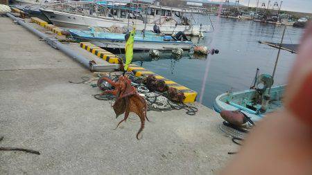 ぼくの夏休みパート3