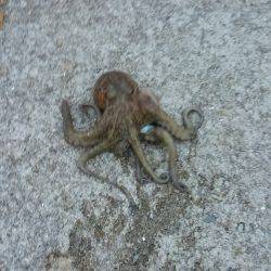 ぼくの夏休みパート5