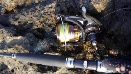 二週連続ホゲホゲ