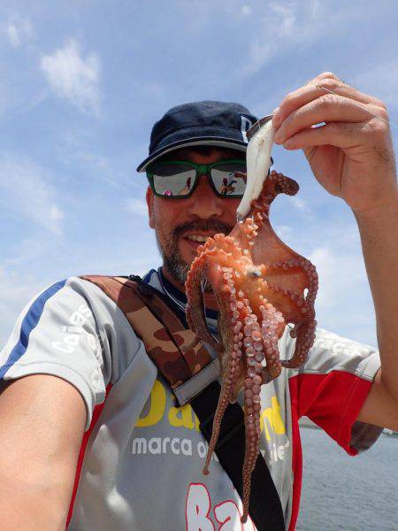 五目タコエギｄｅタコ