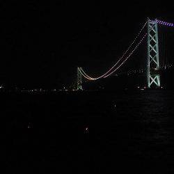 ついに大サバ3本ゲット!