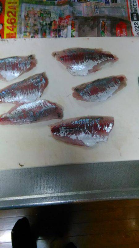 アジング、サビキ