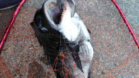 夜勤明けに岸黒ゲーム☆