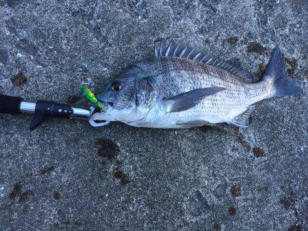 中山川河口にて