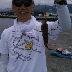 初夏のキス釣り