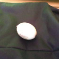 底でバチ喰っとるで