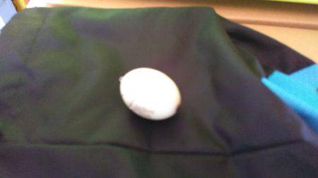 底でバチ喰っとるで