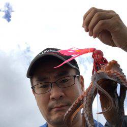 サバ祭り時々タコ