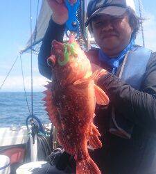 IDATEN（イダテン） 釣果