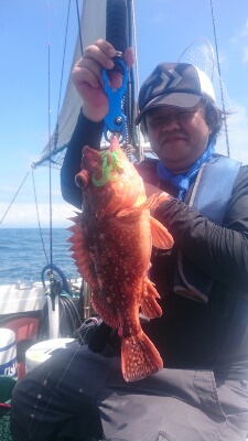 IDATEN（イダテン） 釣果