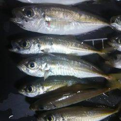 仕事帰りに軽く