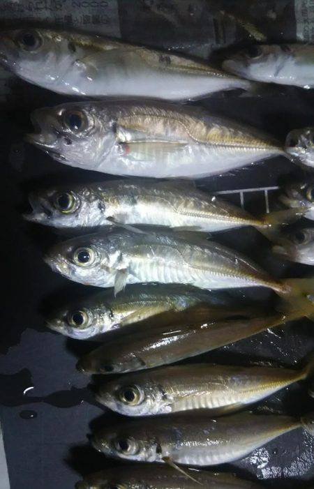 仕事帰りに軽く