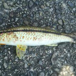 お昼から夕方まで