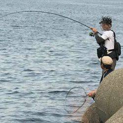 やっとツバス釣れた