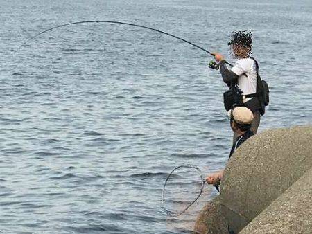 やっとツバス釣れた