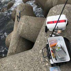 ボトムワインドでアコウ