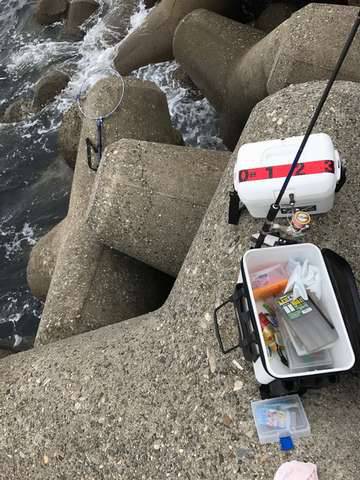 ボトムワインドでアコウ