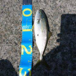 南芦屋浜ベランダ