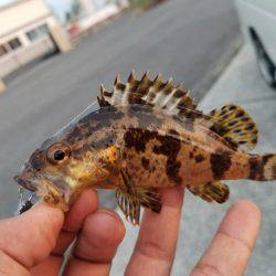 仕事終わりにライトワインド