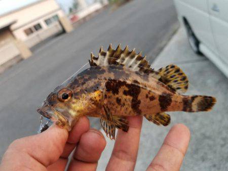 仕事終わりにライトワインド