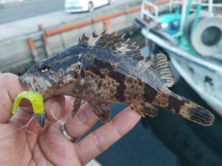 来る日も来る日もライトワインド〜！