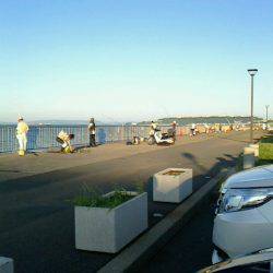 サバ～アジ～アジ～